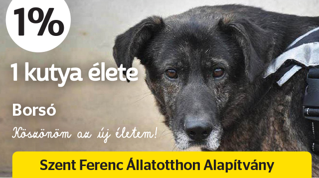 Szent Ferenc Állatotthon alapítvány