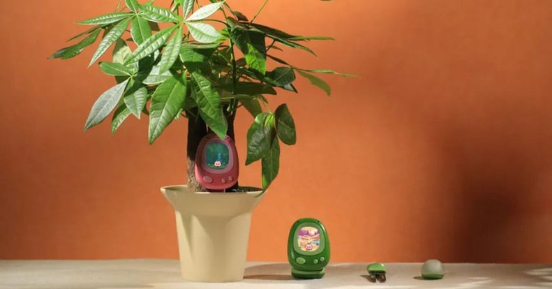 Tamagocsit kap a szobanövény, hogy segítsen rászoktatni a gyerekeket a gondozásra