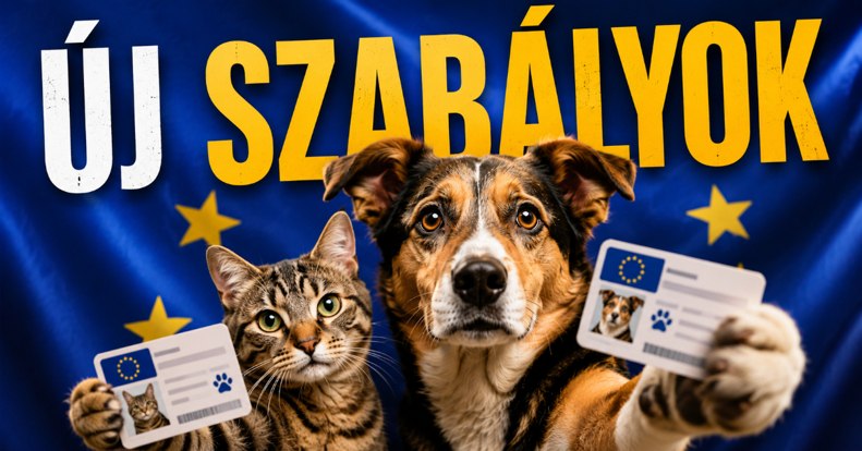 Az EU belenyúl a kutya- és macskatartásba, de mit vesz majd ebből észre egy magyar gazdi?