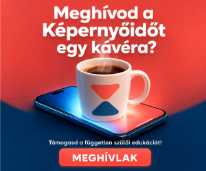 LogIn támogatás